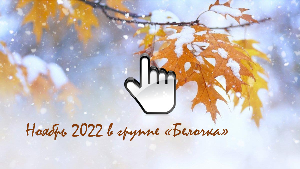 Ноябрь 2022 в группе «Белочка» 